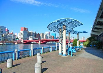 川,都会,屋外,春,晴れ