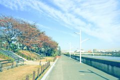 川,町,晴れ,秋,屋外