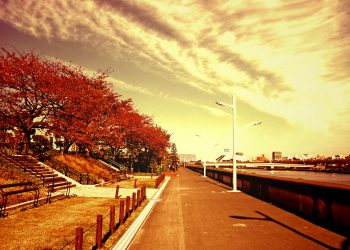 川,町,晴れ,秋,屋外,ヴィンテージ