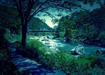 川,アウトドア,晴れ,秋,屋外,ホラー