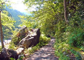 川,アウトドア,晴れ,秋,屋外