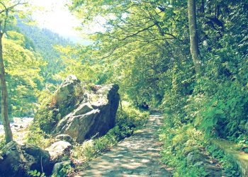 川,アウトドア,晴れ,秋,屋外,昭和レトロ