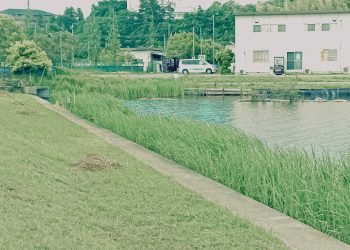 川,アウトドア,屋外,秋,晴れ,昭和レトロ