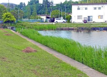 川,アウトドア,屋外,秋,晴れ