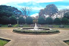 公園,都市,屋外,冬,晴れ