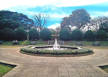 公園,都市,屋外,冬,晴れ