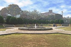 公園,都市,屋外,冬,晴れ