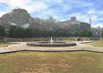 公園,都市,屋外,冬,晴れ
