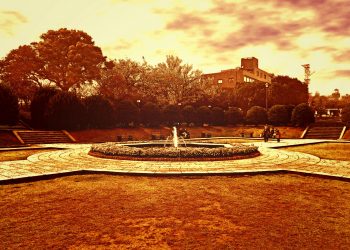 公園,都市,屋外,冬,晴れ,ヴィンテージ