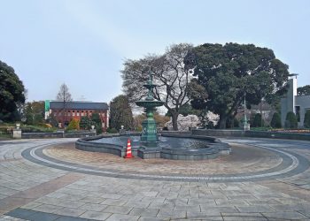 公園,都市,屋外,冬,晴れ