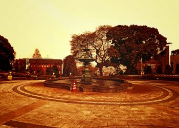 公園,都市,屋外,冬,晴れ,ヴィンテージ