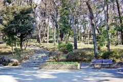 公園,町,屋外,冬,晴れ