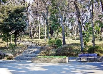公園,町,屋外,冬,晴れ
