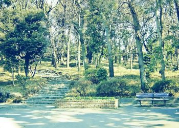 公園,町,屋外,冬,晴れ,昭和レトロ