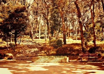 公園,町,屋外,冬,晴れ,ヴィンテージ