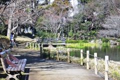 公園,町,屋外,冬,晴れ