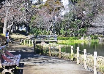 公園,町,屋外,冬,晴れ