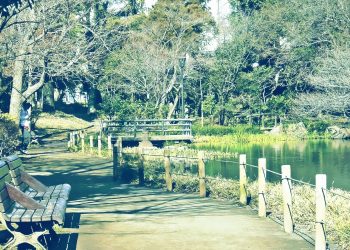 公園,町,屋外,冬,晴れ,昭和レトロ