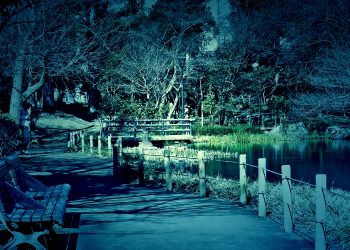 公園,町,屋外,冬,晴れ,ホラー