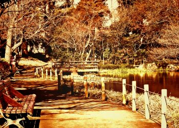 公園,町,屋外,冬,晴れ,ヴィンテージ