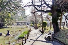 公園,町,屋外,冬,晴れ