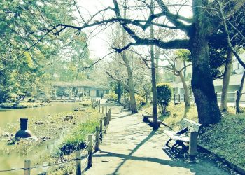 公園,町,屋外,冬,晴れ,昭和レトロ
