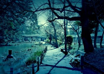 公園,町,屋外,冬,晴れ,ホラー