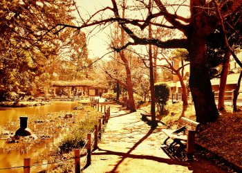 公園,町,屋外,冬,晴れ,ヴィンテージ