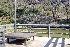 町,公園,冬,屋外,晴れ