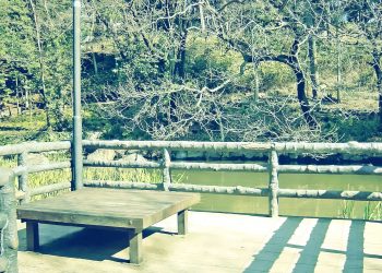 町,公園,冬,屋外,晴れ,昭和レトロ