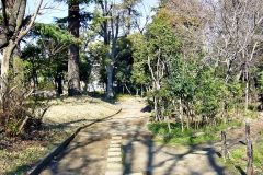 町,公園,冬,屋外,晴れ
