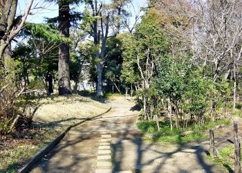 町,公園,冬,屋外,晴れ