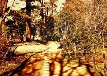 町,公園,冬,屋外,晴れ,ヴィンテージ