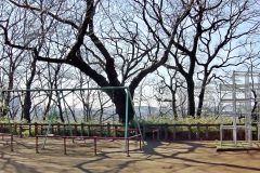町,公園,冬,屋外,晴れ