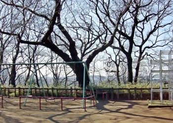 町,公園,冬,屋外,晴れ