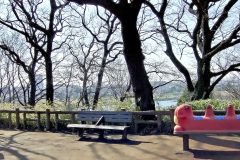 町,公園,冬,屋外,晴れ