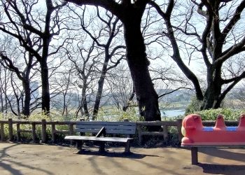 町,公園,冬,屋外,晴れ