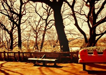 町,公園,冬,屋外,晴れ,ヴィンテージ