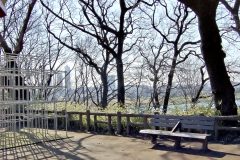 町,公園,冬,屋外,晴れ