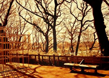 町,公園,冬,屋外,晴れ,ヴィンテージ