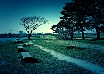 町,公園,冬,屋外,晴れ,ホラー