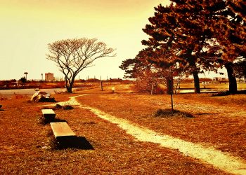 町,公園,冬,屋外,晴れ,ヴィンテージ