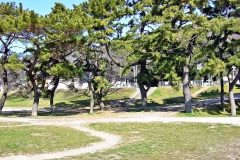 町,公園,冬,屋外,晴れ
