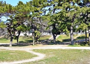 町,公園,冬,屋外,晴れ