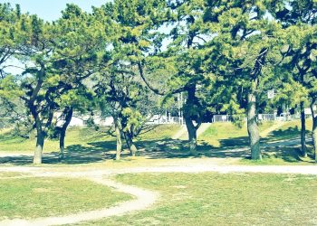 町,公園,冬,屋外,晴れ,昭和レトロ