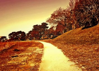 町,公園,冬,屋外,晴れ,ヴィンテージ