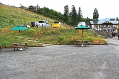 公園,町,屋外,曇り,秋