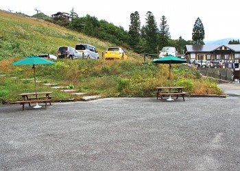 公園,町,屋外,曇り,秋