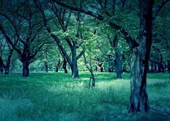 公園,町,屋外,晴れ,春,ホラー