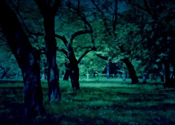 公園,町,屋外,晴れ,春,ホラー